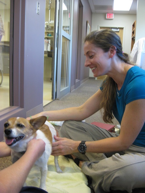 Kimberly Fanning, DVM, CVA